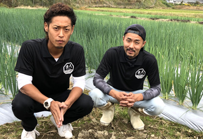 【九条ネギ:京八(きょうや)】