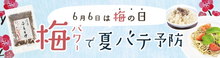 ふりかけ（うめ） 25g | 胡麻の山田製油 公式ショッピング