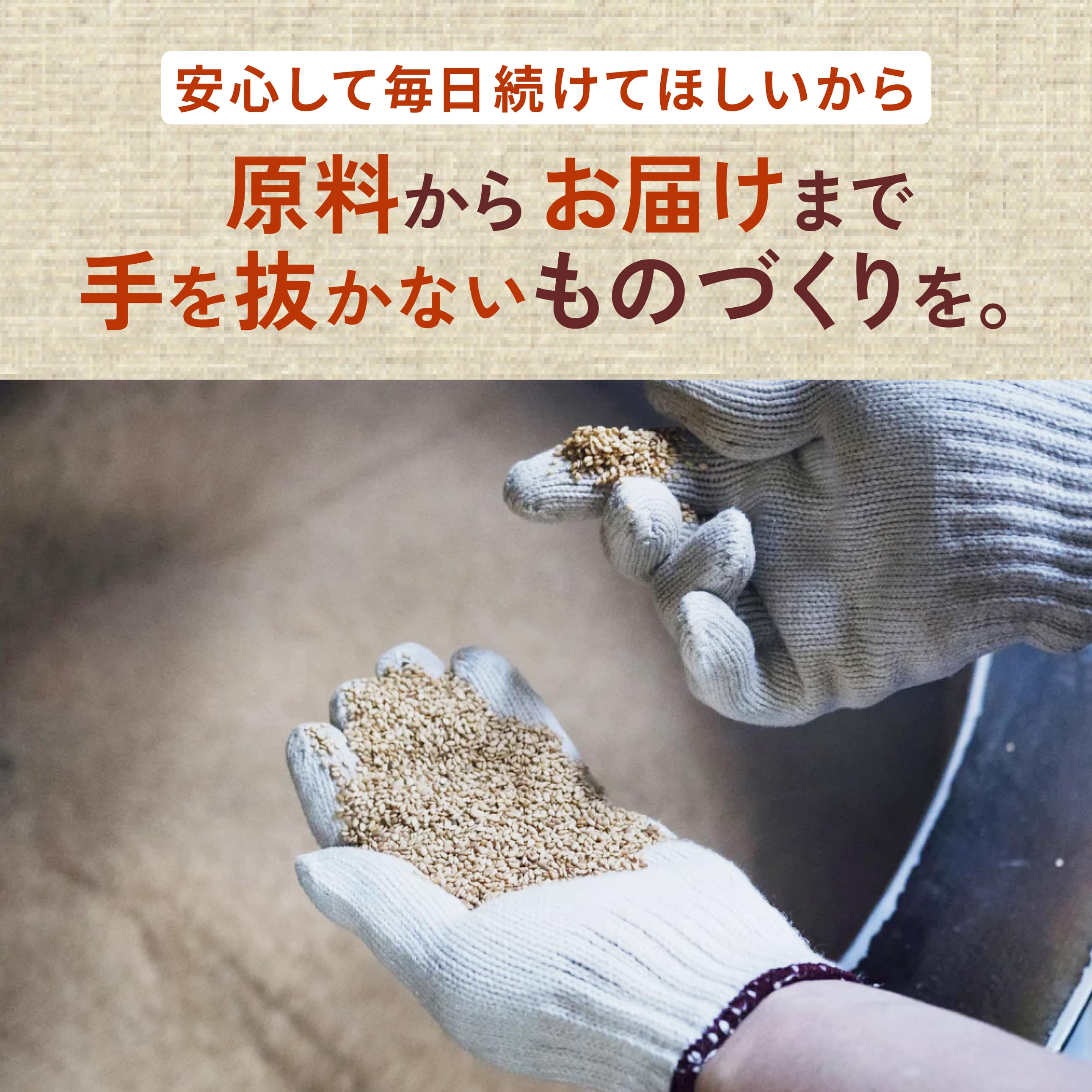 プラスごまセット商品説明