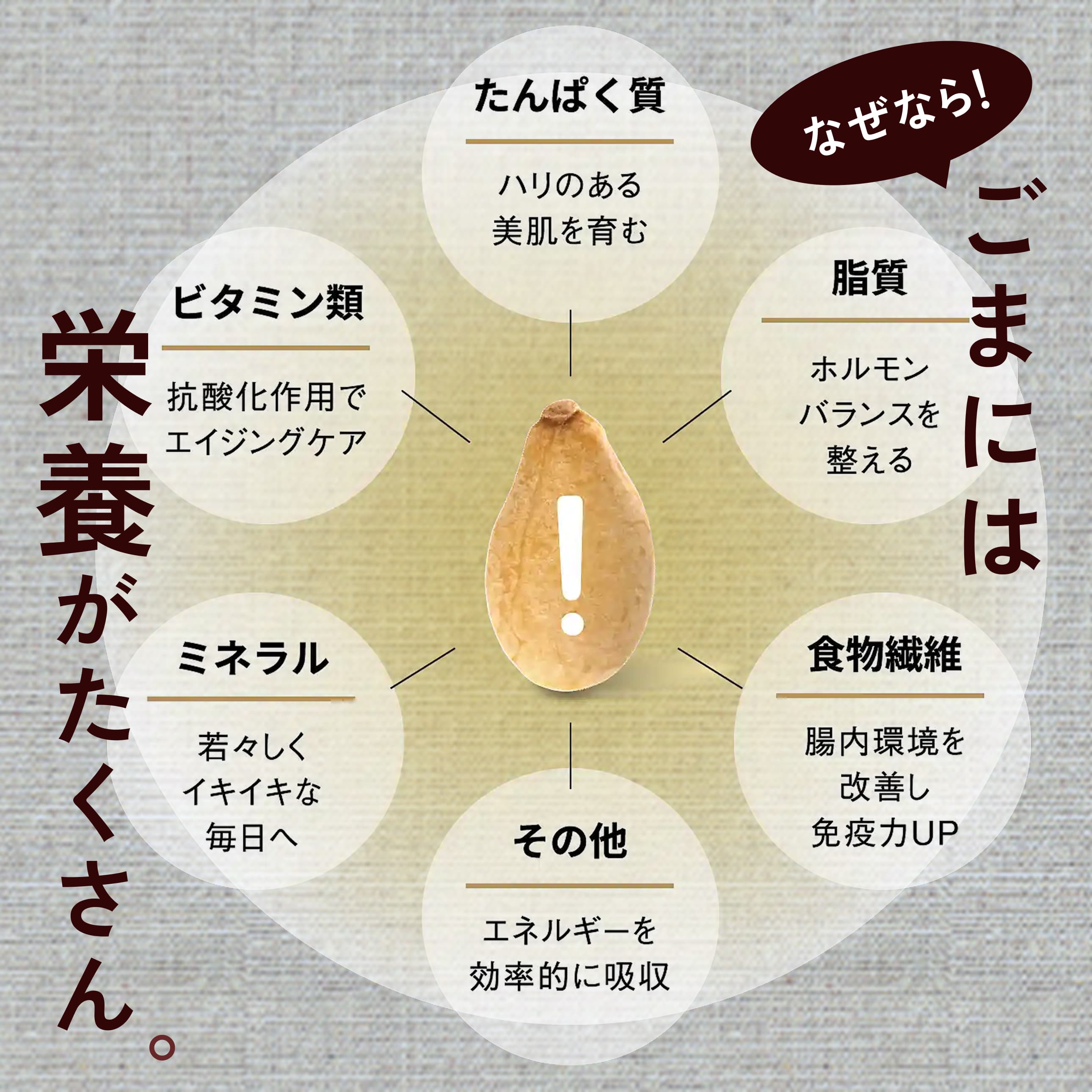 プラスごまセット商品説明