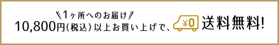 送料無料