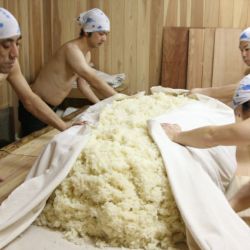 純米富士酢　製造過程