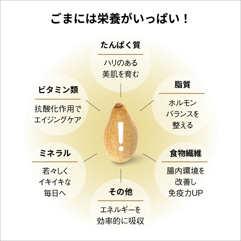 alto motto sesame（プレーン）80g