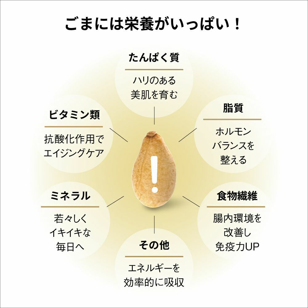 gomacro新商品4点セット
