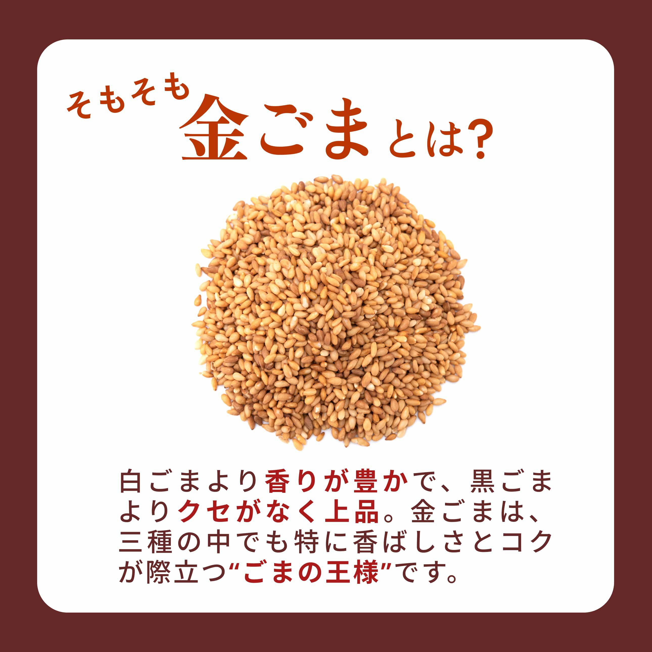山田製油_金ごまとは